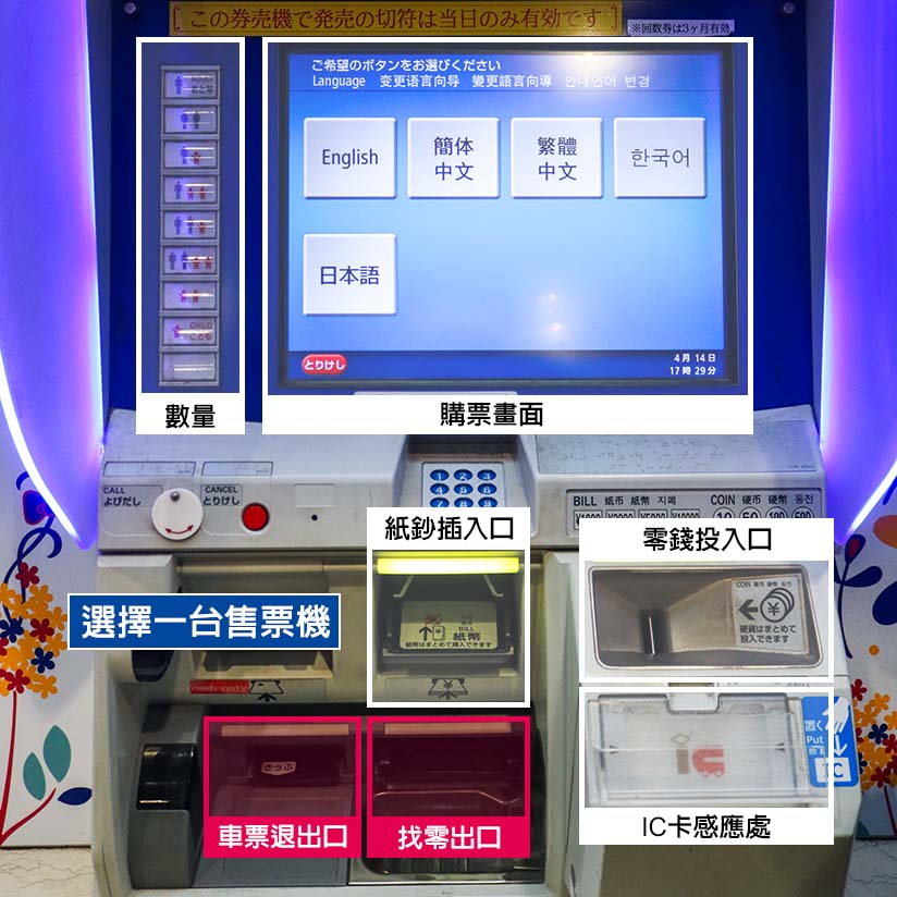 My Image 20